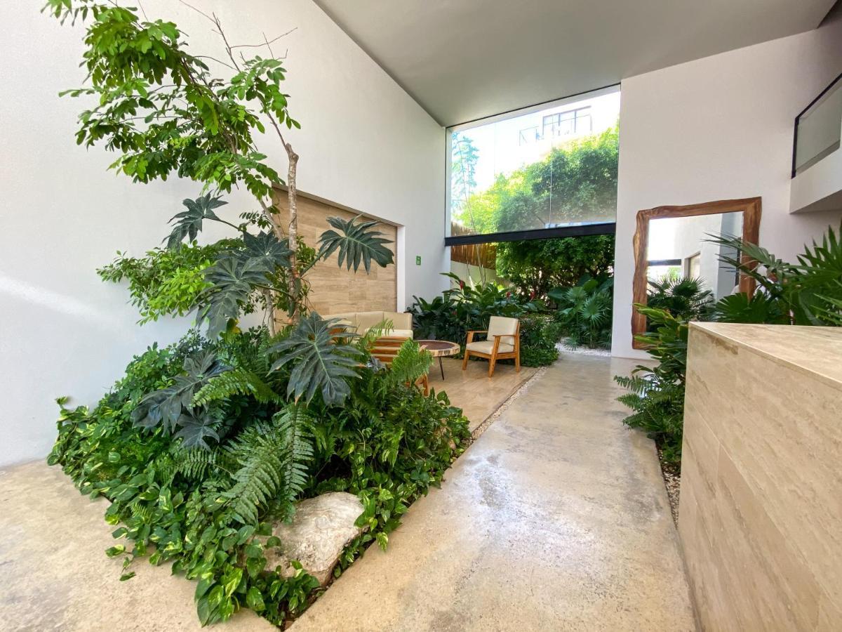פלאייה דל כרמן Big Studio At Kaab By The Beach With Roof Top Pool, Sauna And Jacuzzi Near Paseo Del Carmen Mall מראה חיצוני תמונה