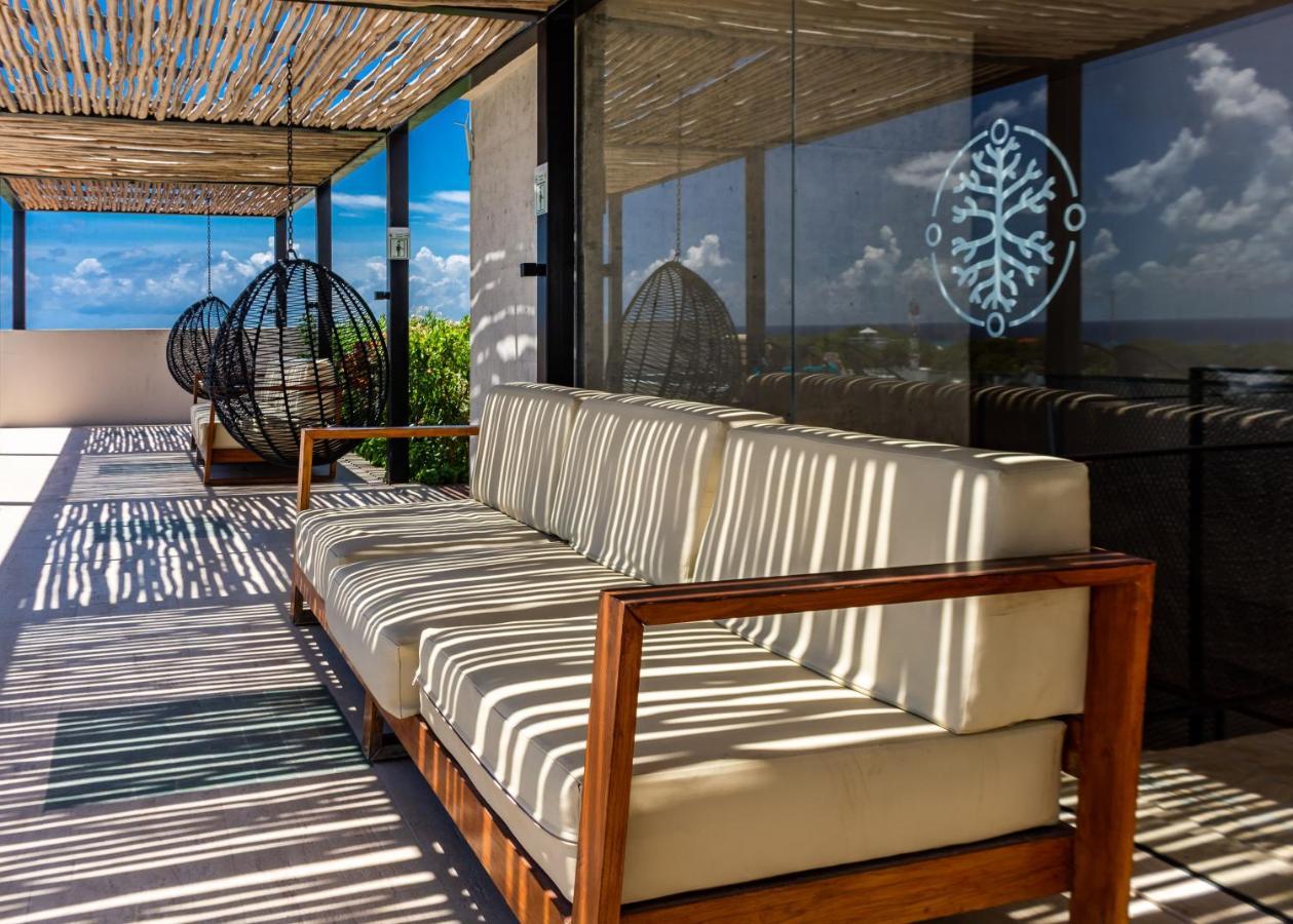 פלאייה דל כרמן Big Studio At Kaab By The Beach With Roof Top Pool, Sauna And Jacuzzi Near Paseo Del Carmen Mall מראה חיצוני תמונה