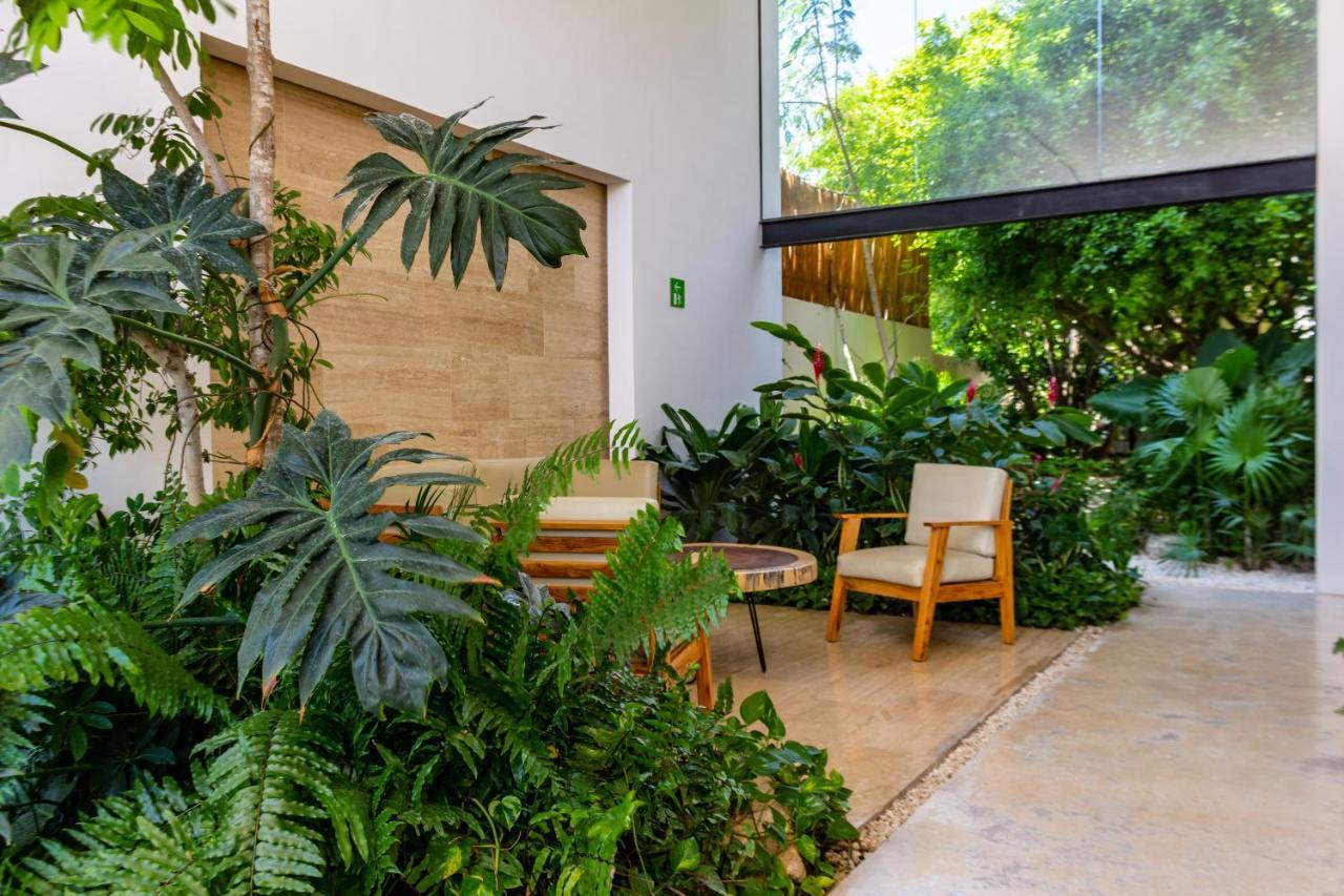 פלאייה דל כרמן Big Studio At Kaab By The Beach With Roof Top Pool, Sauna And Jacuzzi Near Paseo Del Carmen Mall מראה חיצוני תמונה