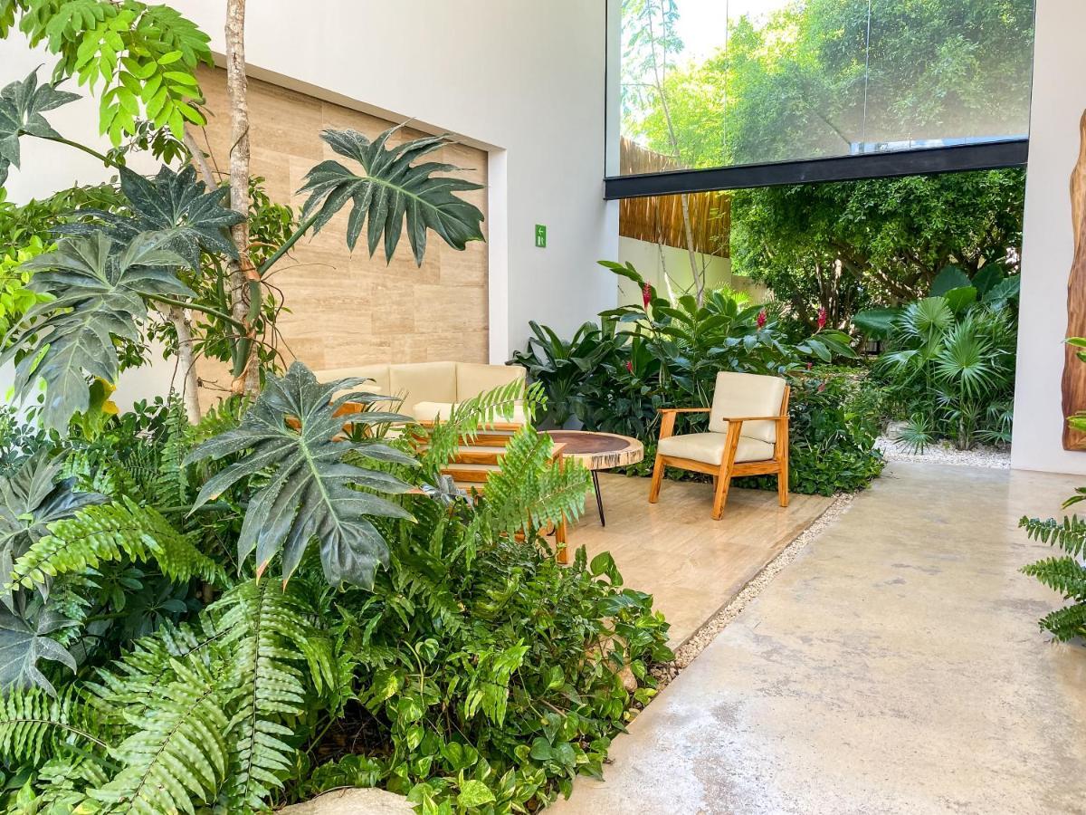 פלאייה דל כרמן Big Studio At Kaab By The Beach With Roof Top Pool, Sauna And Jacuzzi Near Paseo Del Carmen Mall מראה חיצוני תמונה