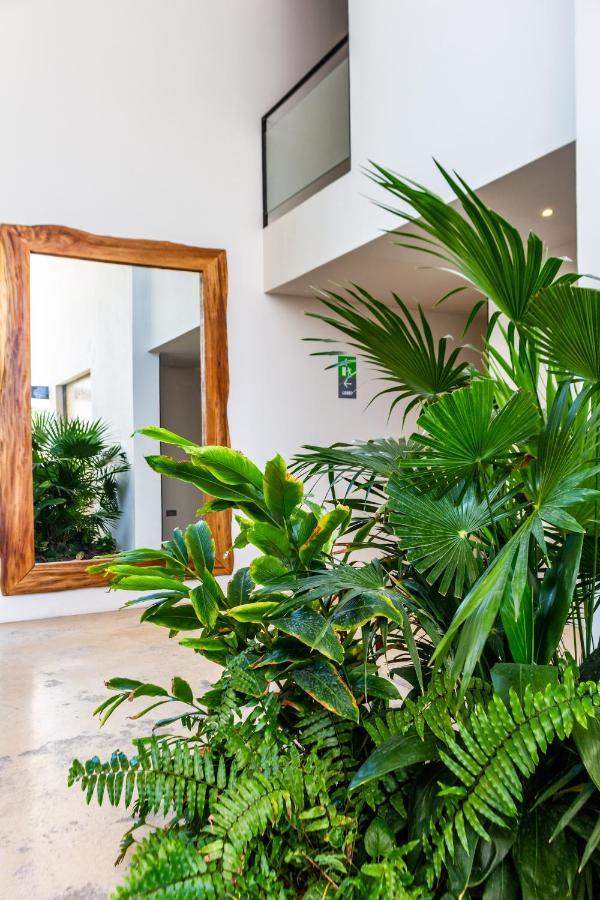 פלאייה דל כרמן Big Studio At Kaab By The Beach With Roof Top Pool, Sauna And Jacuzzi Near Paseo Del Carmen Mall מראה חיצוני תמונה